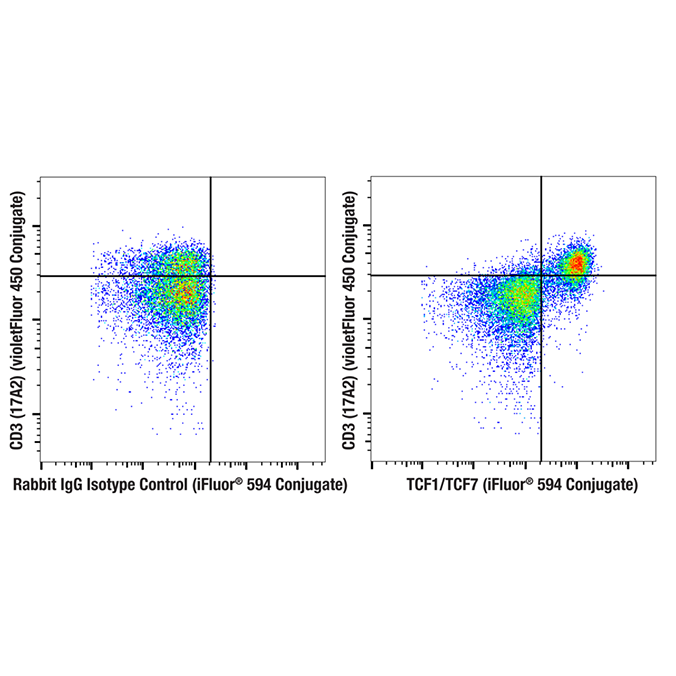Flow cytometric analysis of fixed/permeabilized mouse splenocytes using TCF1/TCF7 (C63D9) Rabbit mAb (iFluor® 594 Conjugate) (right) or concentration-matched Rabbit (DA1E) mAb IgG XP® Isotype Control (iFluor® 594 Conjugate) #94999 (left), co-stained with CD3 (17A2) Rat mAb (violetFluor 450 Conjugate) #38527.
