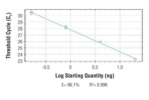 Chromatin Immunoprecipitation Image 2: SimpleChIP<sup>®</sup> Human HMOX1 Promoter Primers
