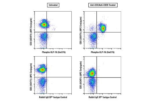 Flow Cytometry Image 1: Phospho-SLP-76 (Ser376) (E3G9U) Rabbit Monoclonal Antibody (BSA and Azide Free)