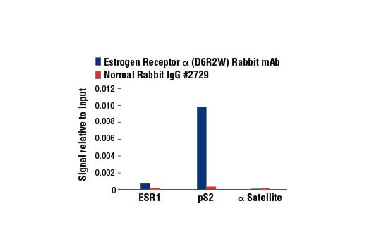 Chromatin Immunoprecipitation Image 3: Estrogen Receptor alpha (D6R2W) Rabbit Monoclonal Antibody