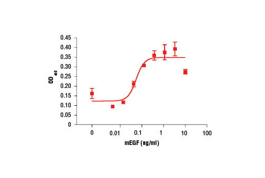 undefined Image 1: Mouse Epidermal Growth Factor (mEGF)