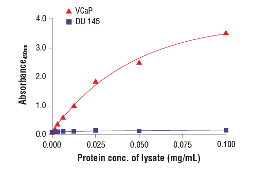 undefined Image 2: PathScan<sup>®</sup> RP Androgen Receptor (Carboxy-terminal Antigen) Sandwich ELISA Kit