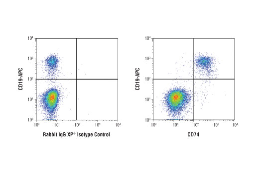 Flow Cytometry Image 1: CD74 (D5N3I) Rabbit Monoclonal Antibody