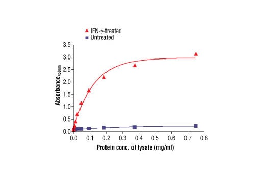 ELISA Image 2: PathScan<sup>®</sup> Phospho-Stat1 (Tyr701) Sandwich ELISA Kit