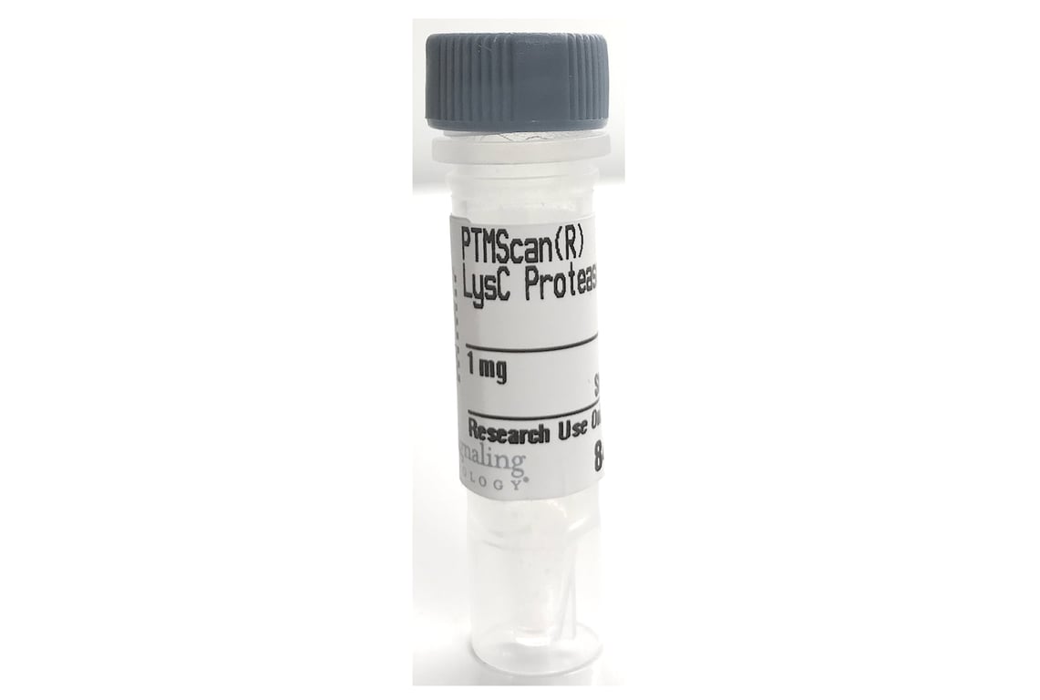 undefined Image 1: PTMScan<sup>®</sup> LysC Protease
