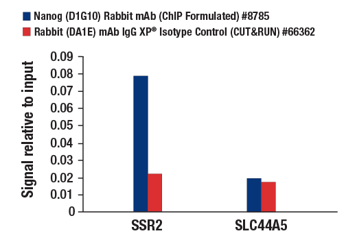 CUT & RUN Image 3: Nanog (D1G10) Rabbit Monoclonal Antibody (ChIP Formulated)