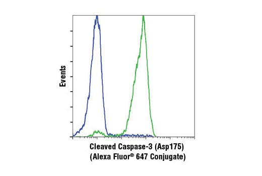 Flow Cytometry Image 1: Cleaved Caspase-3 (Asp175) (D3E9) Rabbit Monoclonal Antibody (Alexa Fluor<sup>®</sup> 647 Conjugate)