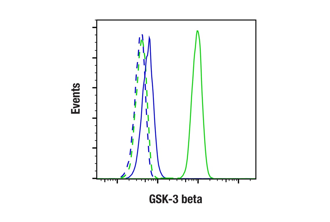 Flow Cytometry Image 1: GSK-3 beta (3D10) Mouse Monoclonal Antibody