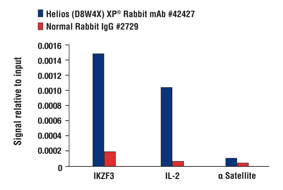 Chromatin Immunoprecipitation Image 3: Helios (D8W4X) Rabbit Monoclonal Antibody