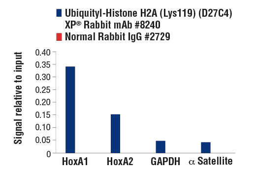 Chromatin Immunoprecipitation Image 3: Ubiquityl-Histone H2A (Lys119) (D27C4) Rabbit Monoclonal Antibody