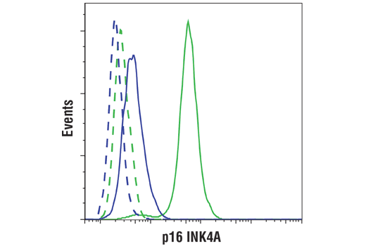 Flow Cytometry Image 1: p16 INK4A (D7C1M) Rabbit Monoclonal Antibody (BSA and Azide Free)