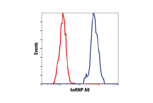 Flow Cytometry Image 1: hnRNP A0 (D8A3) XP<sup>®</sup> Rabbit mAb