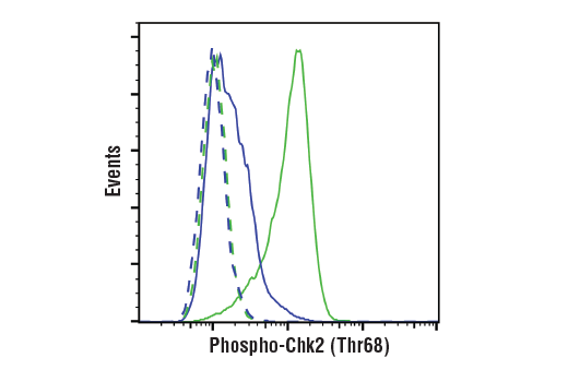 Flow Cytometry Image 1: Phospho-Chk2 (Thr68) (E8Q1A) Rabbit Monoclonal Antibody (BSA and Azide Free)