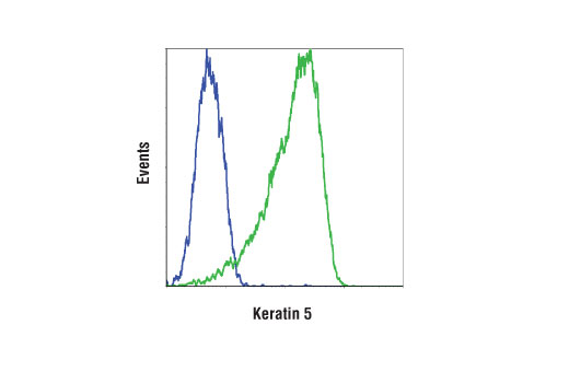 Flow Cytometry Image 1: Keratin 5 (D4U8Q) Rabbit Monoclonal Antibody (BSA and Azide Free)
