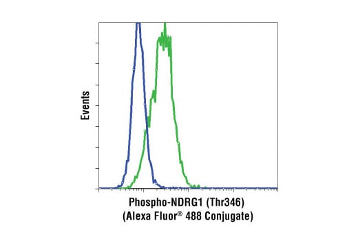 Flow Cytometry Image 1: Phospho-NDRG1 (Thr346) (D98G11) Rabbit Monoclonal Antibody (Alexa Fluor<sup>®</sup> 488 Conjugate)