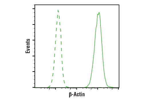 Flow Cytometry Image 1: beta-Actin (8H10D10) Mouse Monoclonal Antibody