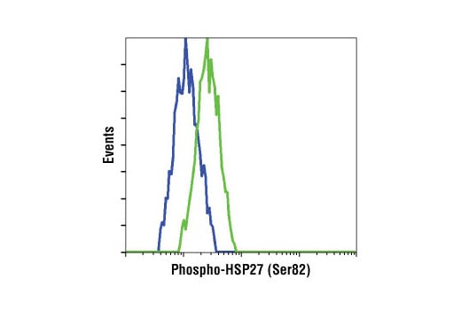 Flow Cytometry Image 1: Phospho-HSP27 (Ser82) Antibody II