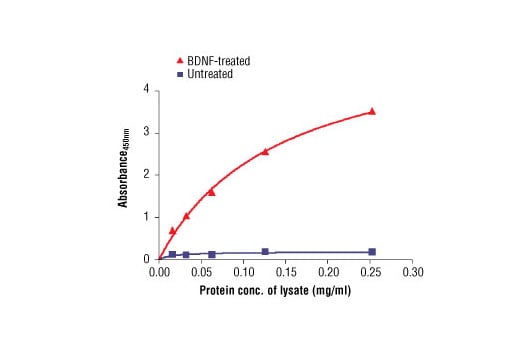 ELISA Image 2: PathScan<sup>®</sup> Phospho-TrkB (panTyr) Sandwich ELISA Kit