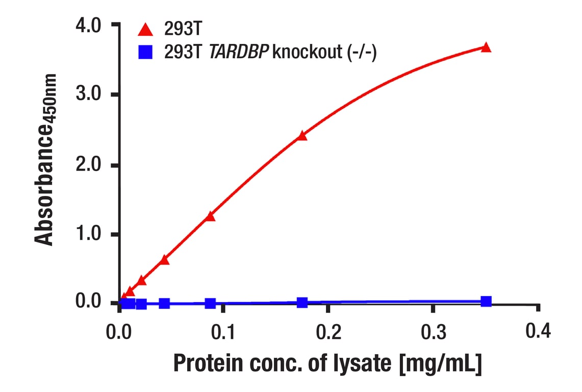 ELISA and/or ELISA-like Assays Image 2: TDP43 (D9R3L) Rabbit Monoclonal Antibody (BSA and Azide Free)