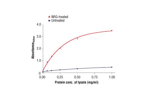 ELISA Image 2: PathScan<sup>®</sup> Phospho-HER3/ErbB3 (panTyr) Sandwich ELISA Kit