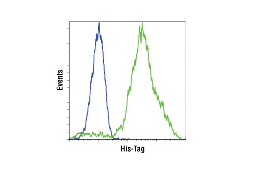 Flow Cytometry Image 1: His-Tag (D3I1O) Rabbit Monoclonal Antibody