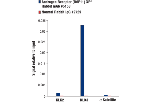 Chromatin Immunoprecipitation Image 3: Androgen Receptor (D6F11) Rabbit Monoclonal Antibody