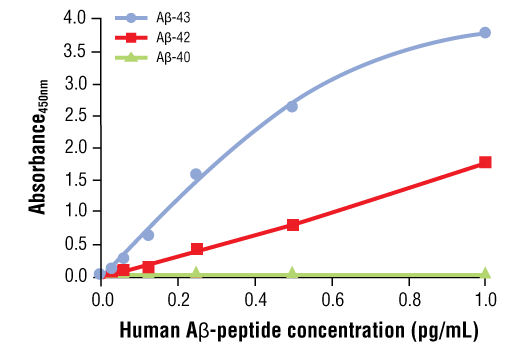 ELISA Image 2: PathScan<sup>®</sup> RP beta-Amyloid (1-43) Sandwich ELISA Kit
