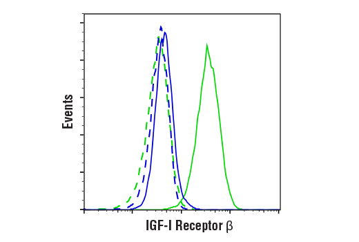 undefined Image 4: PhosphoPlus<sup>®</sup> IGF-I Receptor β Antibody Duet