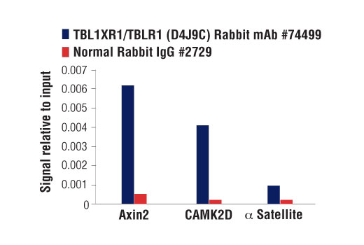 Chromatin Immunoprecipitation Image 1: TBL1XR1/TBLR1 (D4J9C) Rabbit Monoclonal Antibody