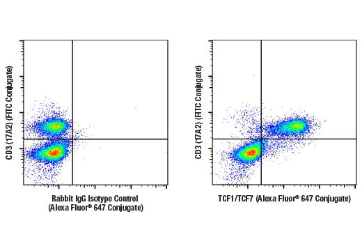 Flow Cytometry Image 1: TCF1/TCF7 (E6O1K) Rabbit Monoclonal Antibody (Alexa Fluor<sup>®</sup> 647 Conjugate)