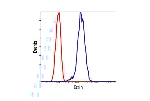 Flow Cytometry Image 1: Ezrin Antibody
