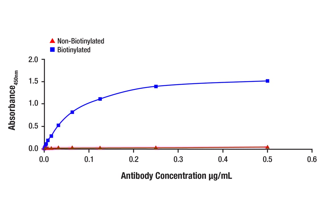 E Image 1: YAP/TAZ (D24E4) Rabbit Monoclonal Antibody (Biotinylated)