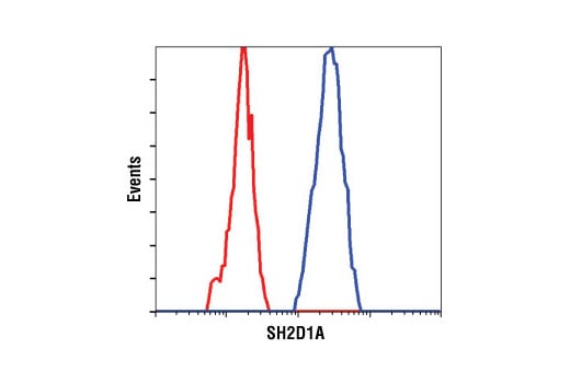 Flow Cytometry Image 1: SH2D1A (XLP 1D12) Rat Monoclonal Antibody