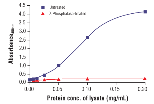 ELISA Image 2: PathScan<sup>®</sup> RP Phospho-Tau (Ser404) Sandwich ELISA Kit
