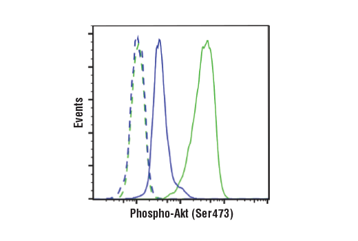 undefined Image 11: PhosphoPlus<sup>®</sup> Akt (Ser473) Antibody Duet