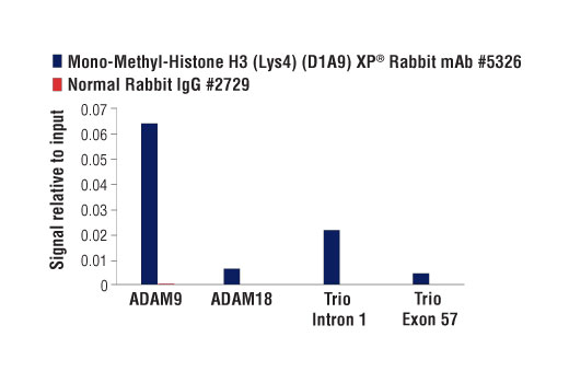 Chromatin Immunoprecipitation Image 3: Mono-Methyl-Histone H3 (Lys4) (D1A9) Rabbit Monoclonal Antibody