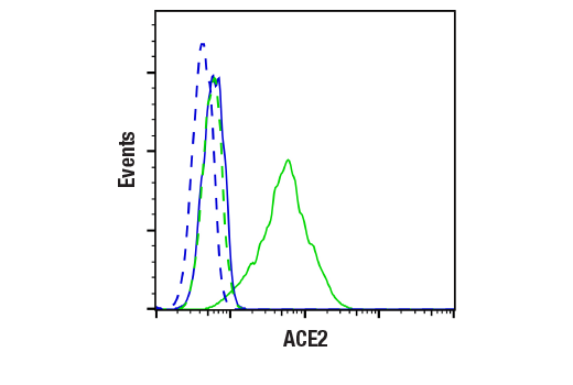 Flow Cytometry Image 1: ACE2 (E1E1I) Mouse Monoclonal Antibody