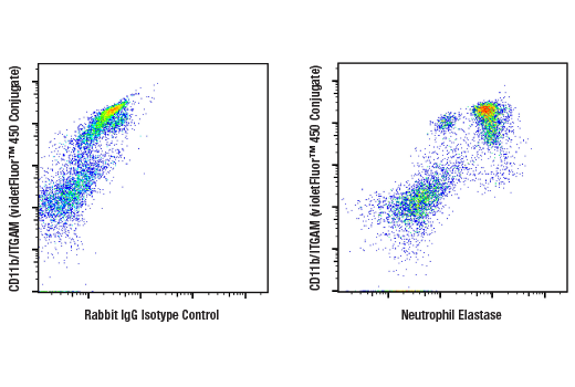 Flow Cytometry Image 2: Neutrophil Elastase (E6K6Q) Rabbit Monoclonal Antibody