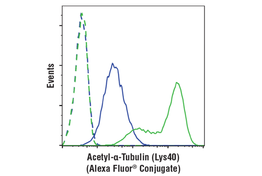 Flow Cytometry Image 1: Acetyl-α-Tubulin (Lys40) (D20G3) XP<sup>®</sup> Rabbit mAb (Alexa Fluor<sup>®</sup> 488 Conjugate)