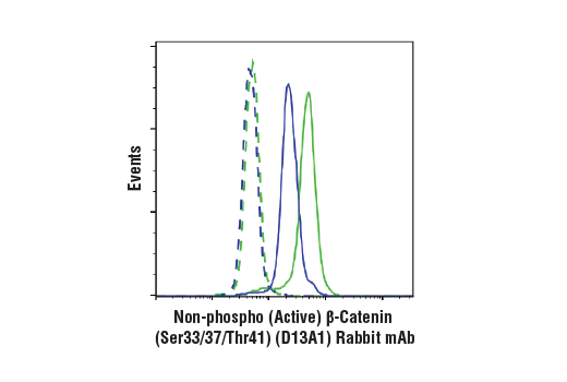 Flow Cytometry Image 1: Non-phospho (Active) beta-Catenin (Ser33/37/Thr41) (D13A1) Rabbit Monoclonal Antibody (BSA and Azide Free)