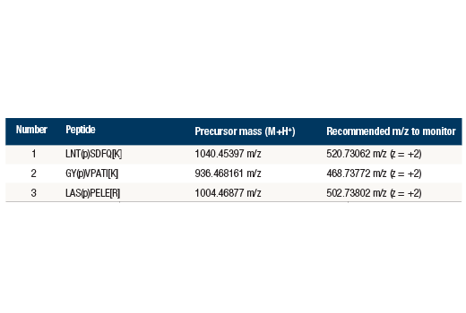 undefined Image 5: PTMScan<sup>®</sup> Control Peptides Phospho-Enrichment IMAC