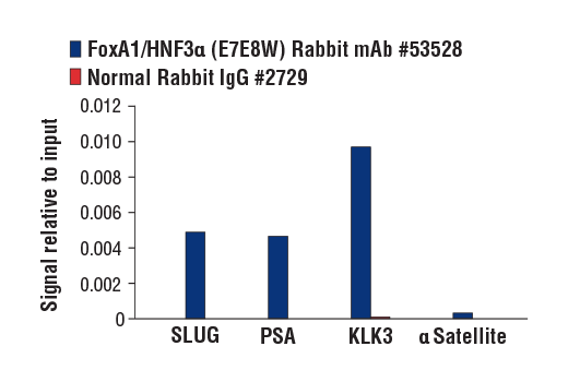 Chromatin Immunoprecipitation Image 3: FoxA1/HNF3 alpha (E7E8W) Rabbit Monoclonal Antibody