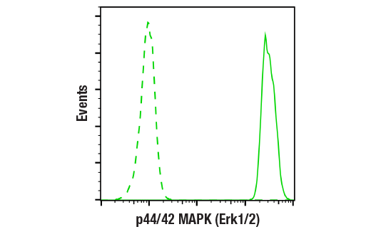Flow Cytometry Image 1: p44/42 MAPK (Erk1/2) (137F5) Rabbit Monoclonal Antibody