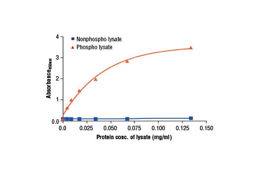 ELISA Image 2: PathScan<sup>®</sup> Phospho-Ron (panTyr) Sandwich ELISA Kit