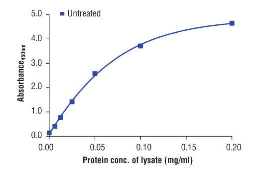 ELISA Image 2: PathScan<sup>®</sup> Total YAP Sandwich ELISA Kit
