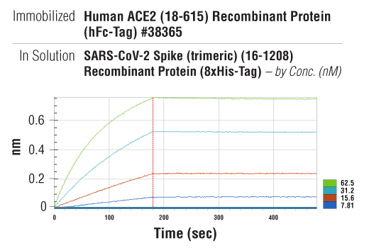 undefined Image 2: SARS-CoV-2 Spike (trimeric) (16-1208) Recombinant Protein (8xHis-Tag)