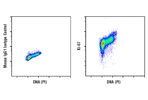 Flow Cytometry Image 1: Ki-67 (8D5) Mouse Monoclonal Antibody (BSA and Azide Free)