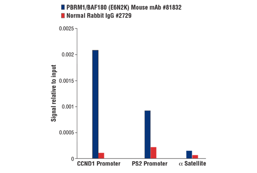 Chromatin Immunoprecipitation Image 1: PBRM1/BAF180 (E6N2K) Mouse Monoclonal Antibody
