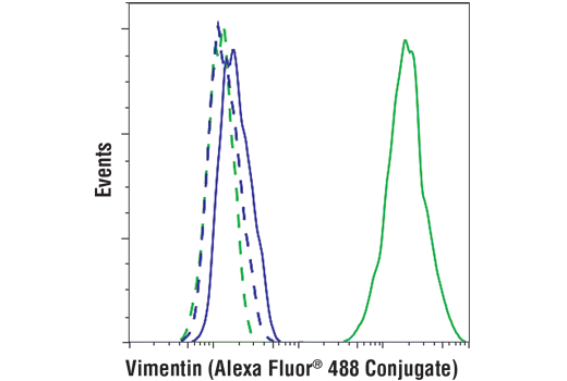 Flow Cytometry Image 1: Vimentin (D21H3) Rabbit Monoclonal Antibody (Alexa Fluor<sup>®</sup> 488 Conjugate)