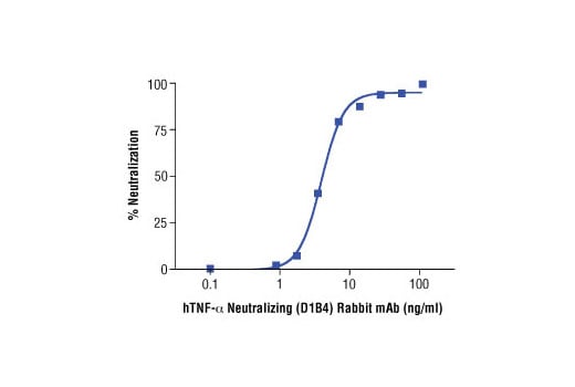 undefined Image 2: Human TNF-α Neutralizing (D1B4) Rabbit mAb